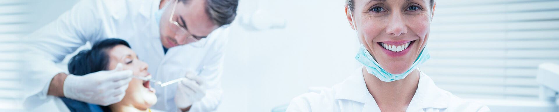 Directorio de Miembros